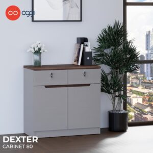 Cabinet Dexter 80