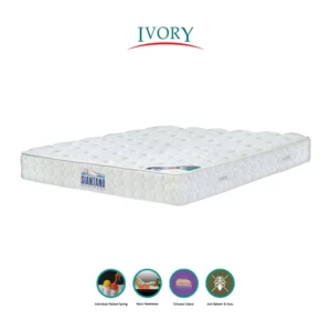 Kasur Ivory 100