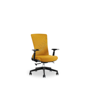 Kursi Kerja Soxvo II